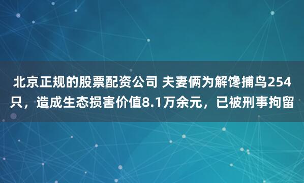 北京正规的股票配资公司 夫妻俩为解馋捕鸟254只，造成生态损害价值8.1万余元，已被刑事拘留